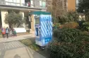 海伦春天实景图