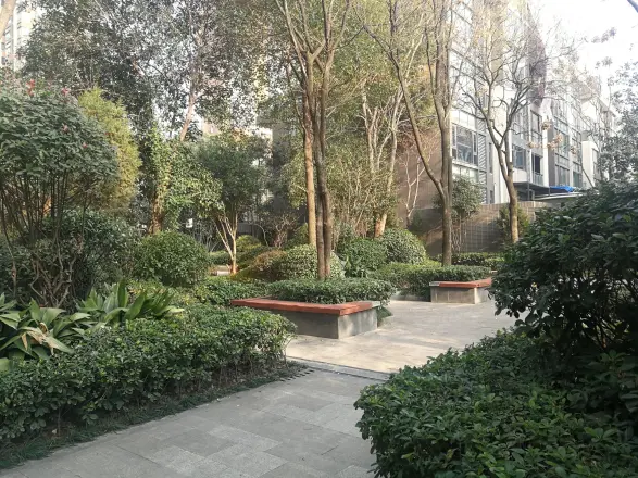 海伦春天实景图
