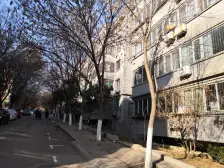 四区别墅区 院内很安静 精装装修 拎包住 诚意出售