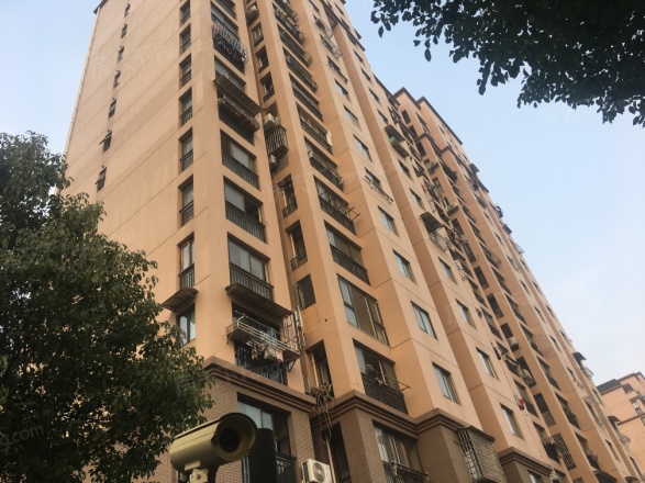 徐泾北城瑞和明庭西区实景图