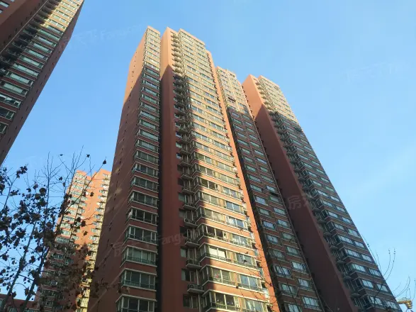 天滋嘉鲤商住楼实景图