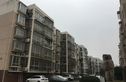 金桥石油苑实景图