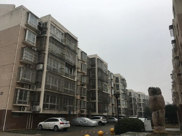 金桥石油苑实景图