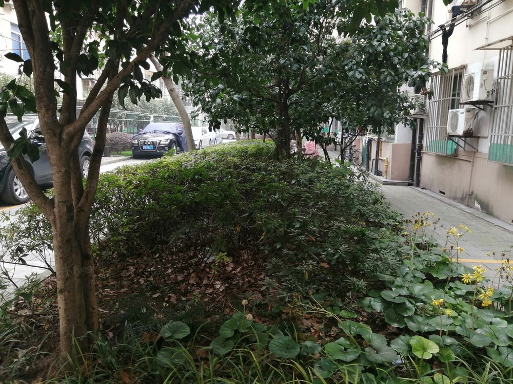 小区相关图
