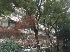 一梯两户+南北通+小区花园+百年红旗+大柏树地铁配套齐