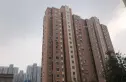 美罗家园金丰苑一区实景图