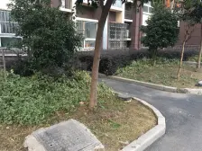 馨浦苑东区 1室1厅 南 北