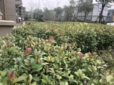 近地铁次新小区本地动迁大三房看房可约