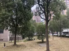 美兰湖精致小区,户型正采光通风好,环境好,诚心出售