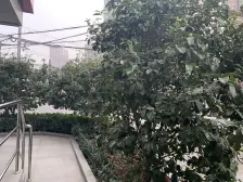 江宁·康宁大楼·1室·1厅