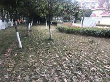 电梯房,交通便利,诚意出售,近地铁