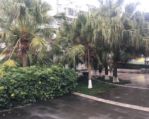 武城大观城市花园一期3室1厅南