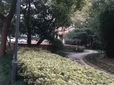 近地铁,电梯房,无抵押,产权清晰,新上房源