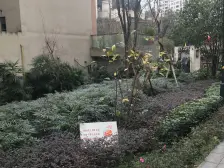 雍江艺庭 1室1厅 东南