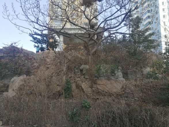 香港花园大公馆商住楼实景图