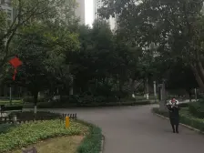 九龙坡区 谢家湾 保利港湾国际 清水三房 看江