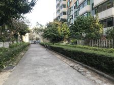 新香洲华润万家后面,电梯三房两卫,低价出售