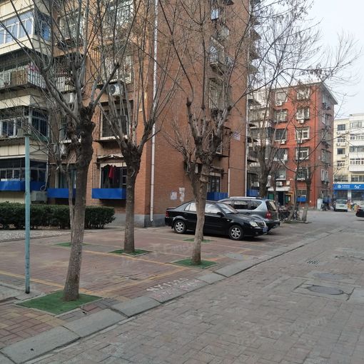  ���⡤�Ź�ׯ�֡�ղ�����1�ҡ�1�� 