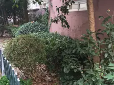 大木桥,嘉善路旁,中低楼层,朝南带阳台,南北通透,精装修