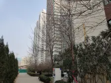 二环内 地铁口 楼层好 标准一室一厅