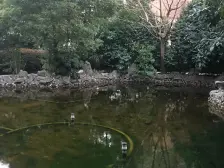 凯旋花苑2室2厅1卫南朝向1239.00万元/套出售