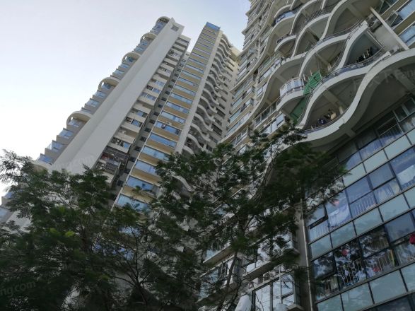 深圳市南山区商业文化中心区环东路东环北路北漾日湾畔5座28e