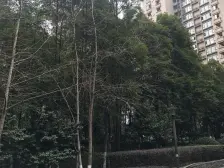 雍江苑 3室2厅 北