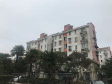花木苑1室1厅南