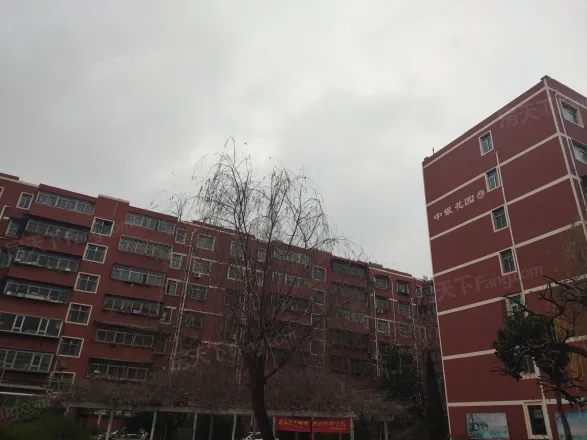 【洛阳中银花园小区,二手房,租房】- 洛阳房天下