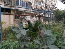 枣庄路118弄2室1厅南北