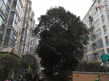 人民公园旁,高绿化宜居住小区,有电梯业主急卖