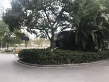 店长推荐浦东世纪花园二期上下两层复式没住过降价急售