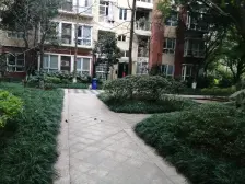 小洋楼 近轻轨 低楼层 适合小孩和老人居住