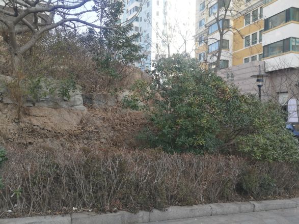 香港花园大公馆商住楼实景图