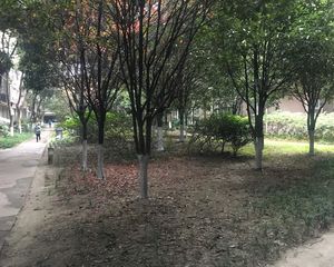 千和意境3室1厅南北