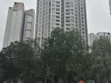 版式结构 4房 户型通透 精装修 拎包入住 诚心出售