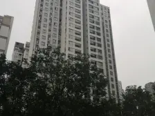 看中庭,朝南,户型方正,小区环境好。