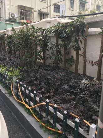 茶陵路335号实景图