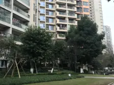 重庆天地 精装四房 户型方正 一线看江 诚心出售