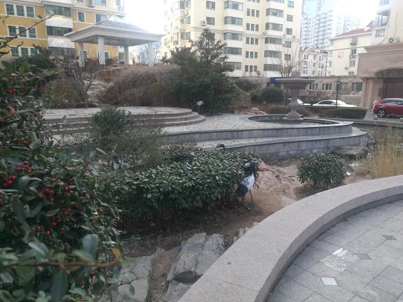 香港花园大公馆商住楼实景图