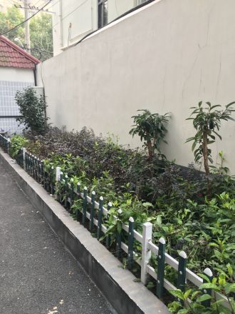 茶陵路335号实景图