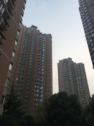 凯旋花苑实景图