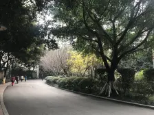 冉家坝三轻轨 住家装修顶跃带屋顶花园 爱融商场旁