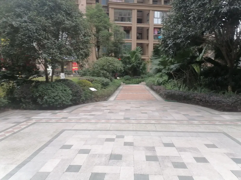 实景图