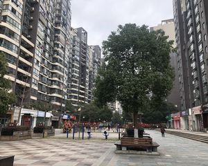 西子花苑3室2厅南