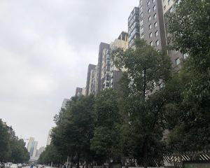 高桥北,正地铁口,精装70年产权住宅,一房