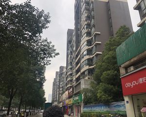 苏式园林风小区户型周正前后双阳台地铁口安静不吵