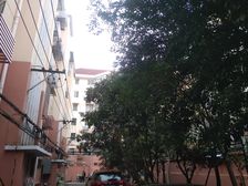 品质小区,环境优美,诚意出售,精装好房