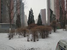 采光好,视野开阔 ,小区道路宽敞,车位充足。