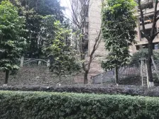 雍江苑 高楼层 看江 视野开阔 安静适合居家